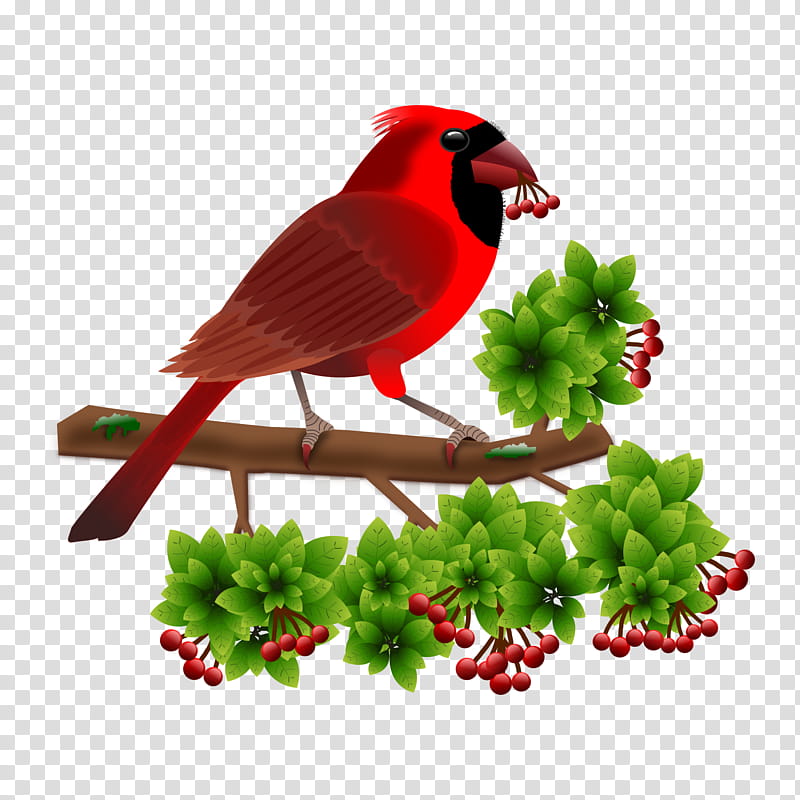 Cardinal Bird, Finches, Common Nightingale, Sparrow, Beak, Northern Cardinal, Old World Flycatchers, Feather transparent background PNG clipart