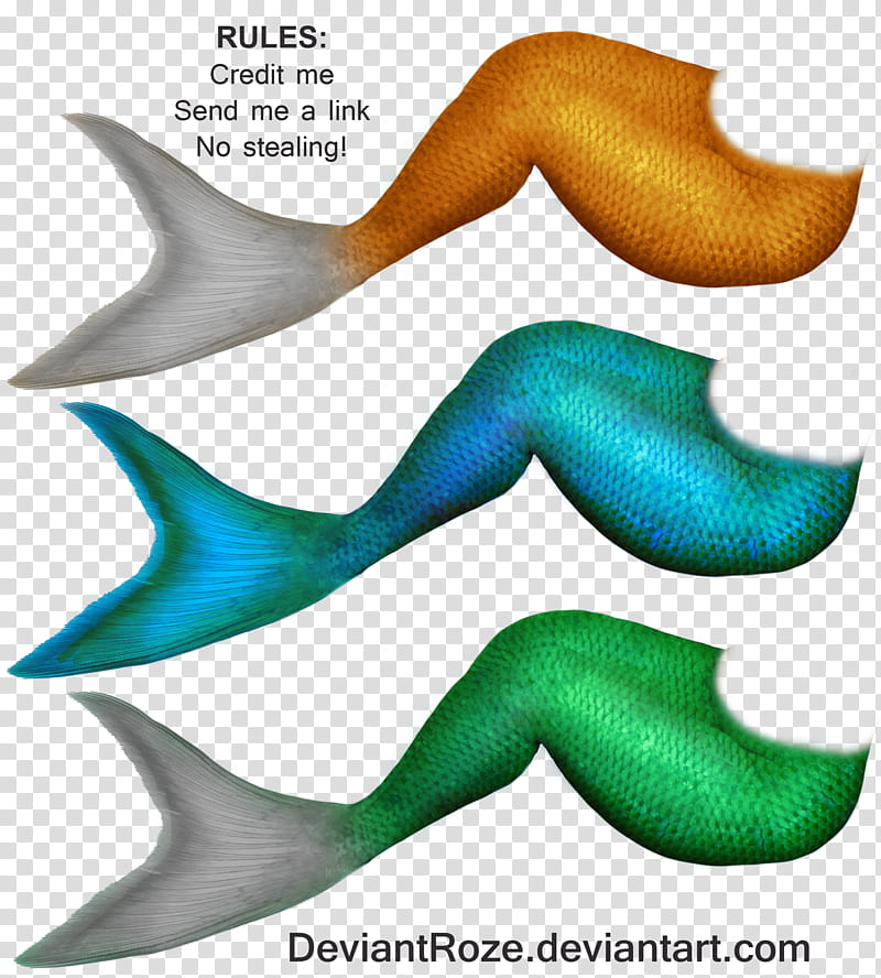 Mermaid Tails , three assorted-color mermaid tails transparent background PNG clipart