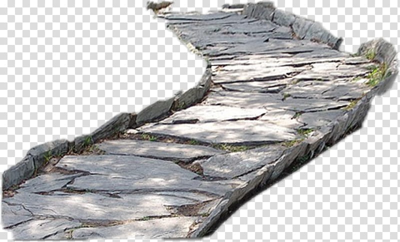 Rock, Road Surface, Cobblestone, Wood, Tree transparent background PNG clipart