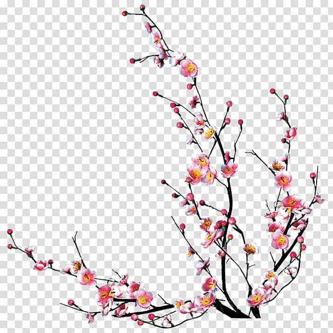 plum blossom flowers , pink cherry blossoms art transparent background PNG clipart