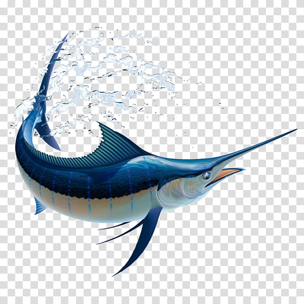 Shark Fin, Marlin Fishing, Atlantic Blue Marlin, Billfish, White Marlin, Atlantic Sailfish, Swordfish, Black Marlin transparent background PNG clipart