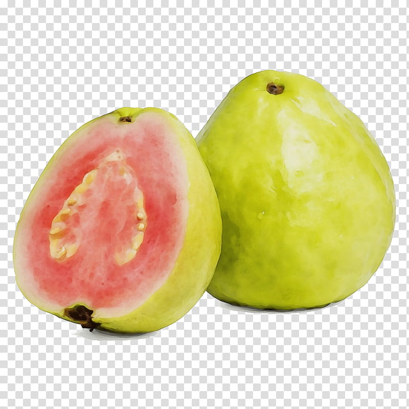 fruit food plant guava common guava, Watercolor, Paint, Wet Ink, Superfood, Accessory Fruit, Natural Foods, Fig transparent background PNG clipart
