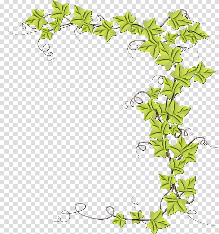 Ivy, Watercolor, Paint, Wet Ink, Plant, Flower, Plant Stem, Ivy Family transparent background PNG clipart
