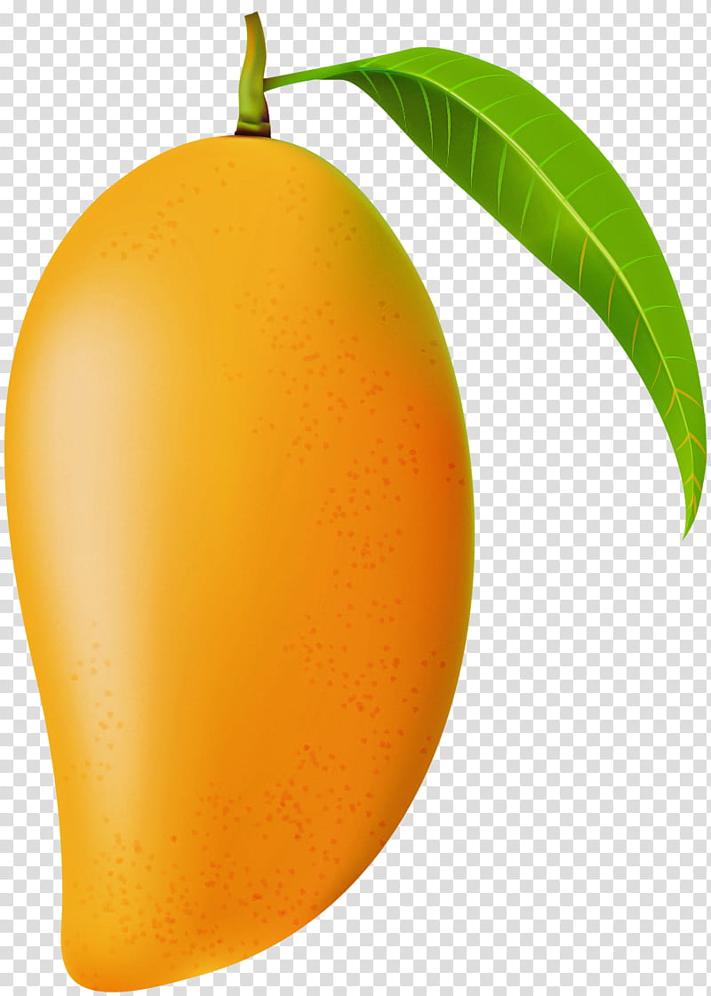 Orange, Mango, Yellow, Fruit, Plant, Leaf, Tree, Food transparent background PNG clipart