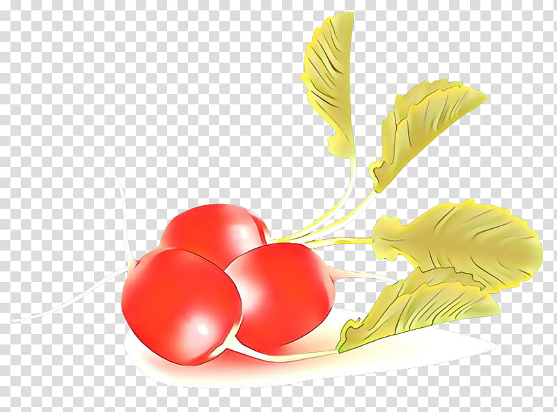 vegetable radish plant food flower, Cartoon transparent background PNG clipart