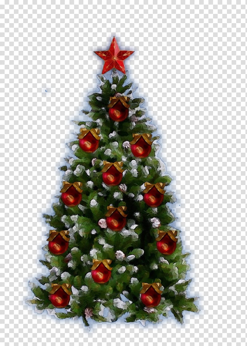 Christmas tree, Watercolor, Paint, Wet Ink, Christmas Decoration, Colorado Spruce, Oregon Pine, Christmas Ornament transparent background PNG clipart