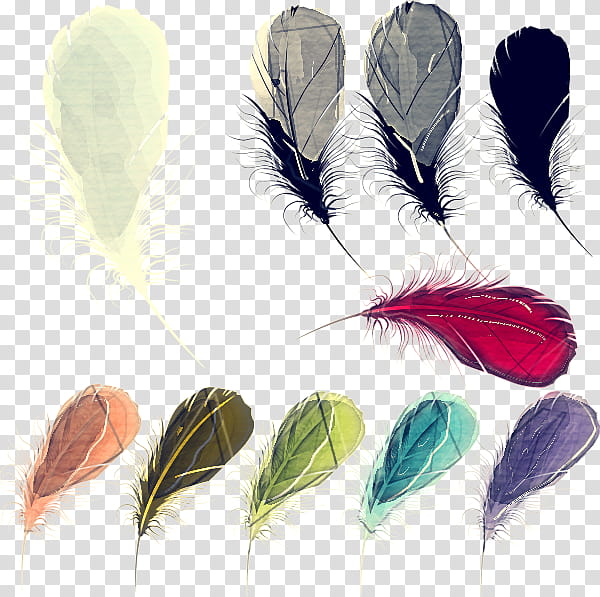 Feather, Quill, Wing, Plant, Fashion Accessory, Natural Material transparent background PNG clipart