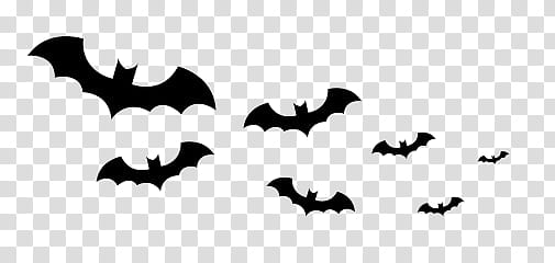 HALLOWEEN HANNAK, black bat illustrations transparent background PNG clipart