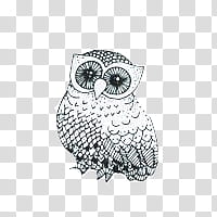 some stuffffffff, painting of owl transparent background PNG clipart