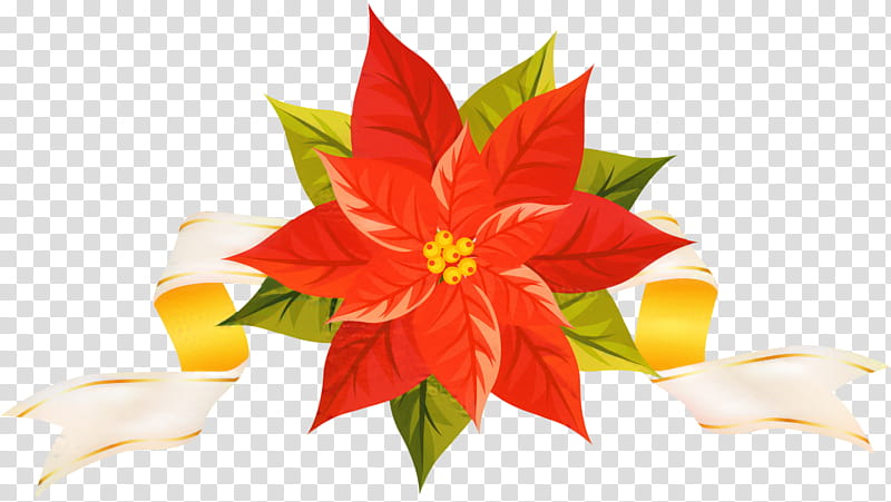 Christmas Poinsettia, Christmas Day, BORDERS AND FRAMES, Joulukukka, Spurges, Plants, Flower, Red transparent background PNG clipart