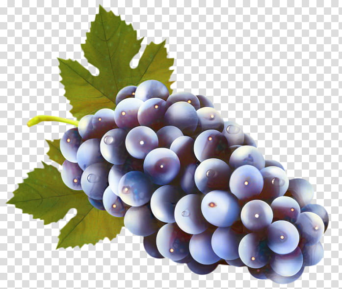 Flower Leaves, Sultana, Wine, Muscadine, White Wine, Grape, Sauvignon Blanc, Grape Leaves transparent background PNG clipart