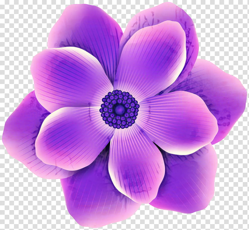Pink Flowers Violet Lilac Petal Purple Lavender Color Drawing Transparent Background Png Clipart Hiclipart