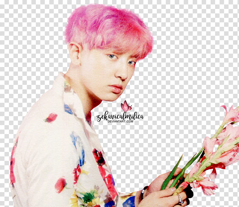 EXO Chanyeol The War, man wearing white and pink floral sport shirt transparent background PNG clipart