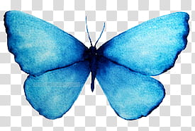 AESTHETIC GRUNGE, blue butterfly illustration transparent background PNG clipart