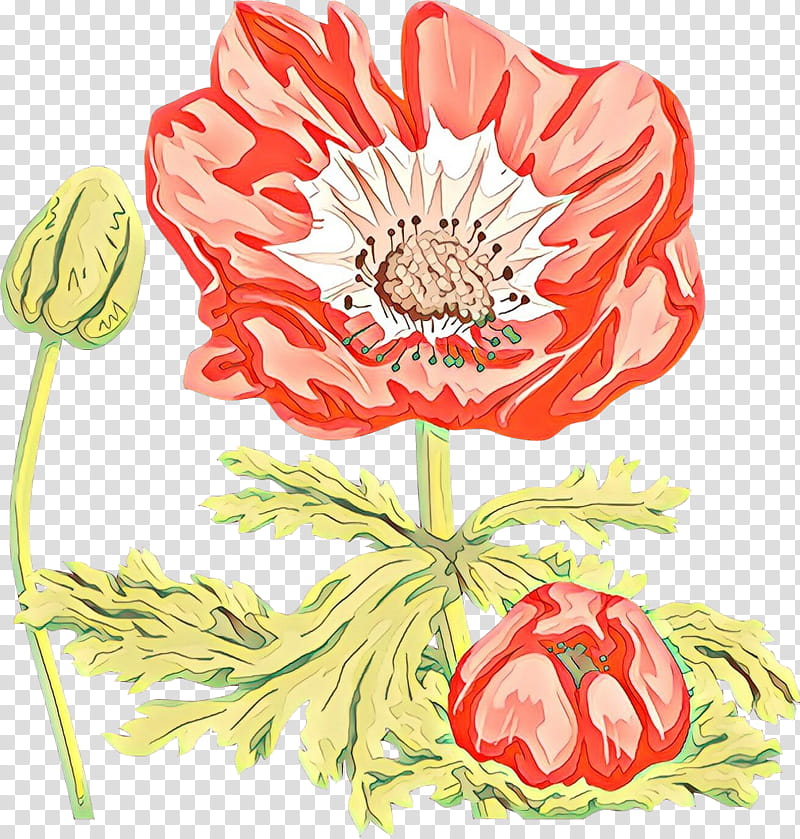 flower cut flowers plant poppy family, Cartoon, Oriental Poppy, Protea, Coquelicot transparent background PNG clipart