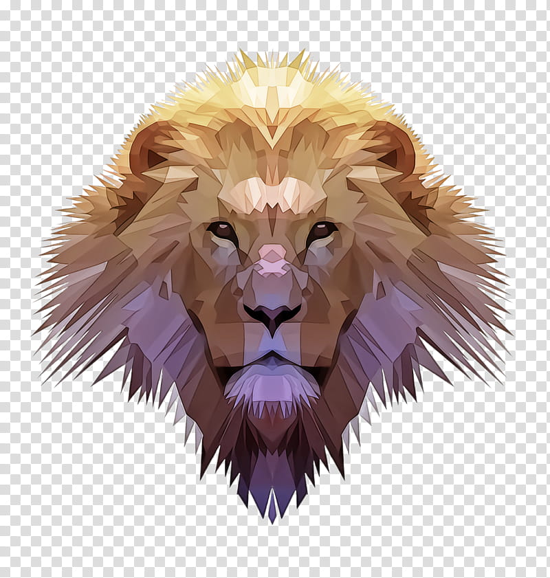 lion wildlife fur masai lion roar, Animation transparent background PNG clipart