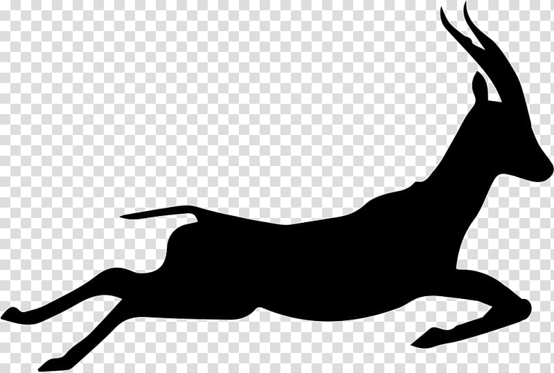 Dog Drawing, Gazelle, Silhouette, Logo, Black, Black And White
, Wildlife, Horse transparent background PNG clipart