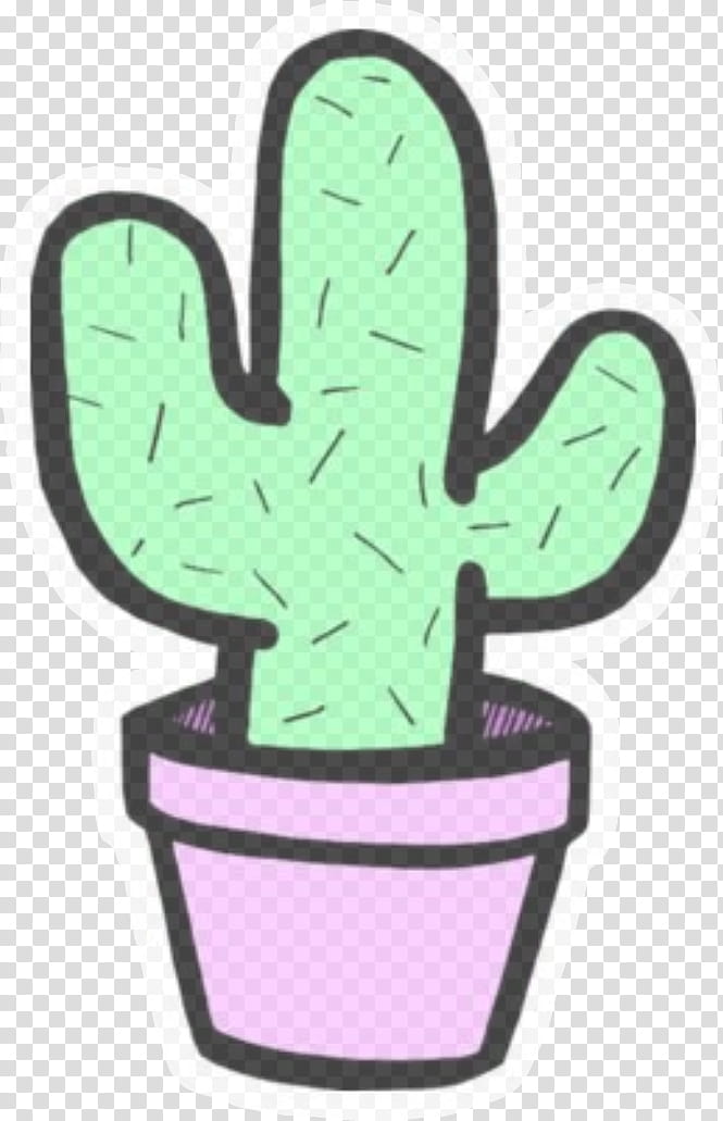 Cactus, Green, Plant, Saguaro, Succulent Plant, Caryophyllales, Flower, Flowerpot transparent background PNG clipart