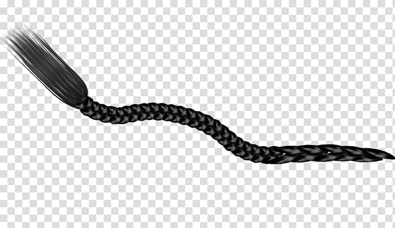 black braids, black braided hair transparent background PNG clipart