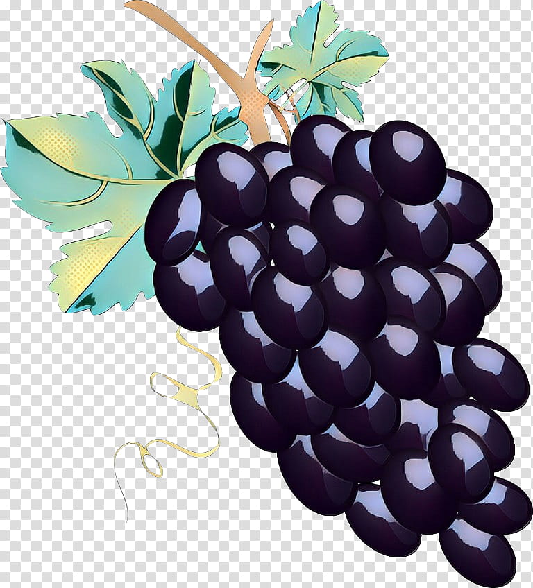 Family Tree, Grape, Bilberry, Superfood, Grape Seed Extract, Blackberry, Blackberry Limited, Grapevine Family transparent background PNG clipart