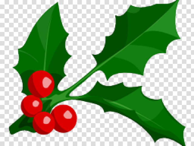 Christmas Tree, Christmas Day, Christmas Graphics, Common Holly, Mistletoe, Christmas Wreath, Leaf, American Holly transparent background PNG clipart