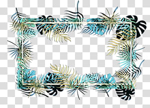 colorado spruce tree oregon pine conifer fir, Pop Art, Retro, Vintage, Pine Family, Plant, Branch transparent background PNG clipart thumbnail