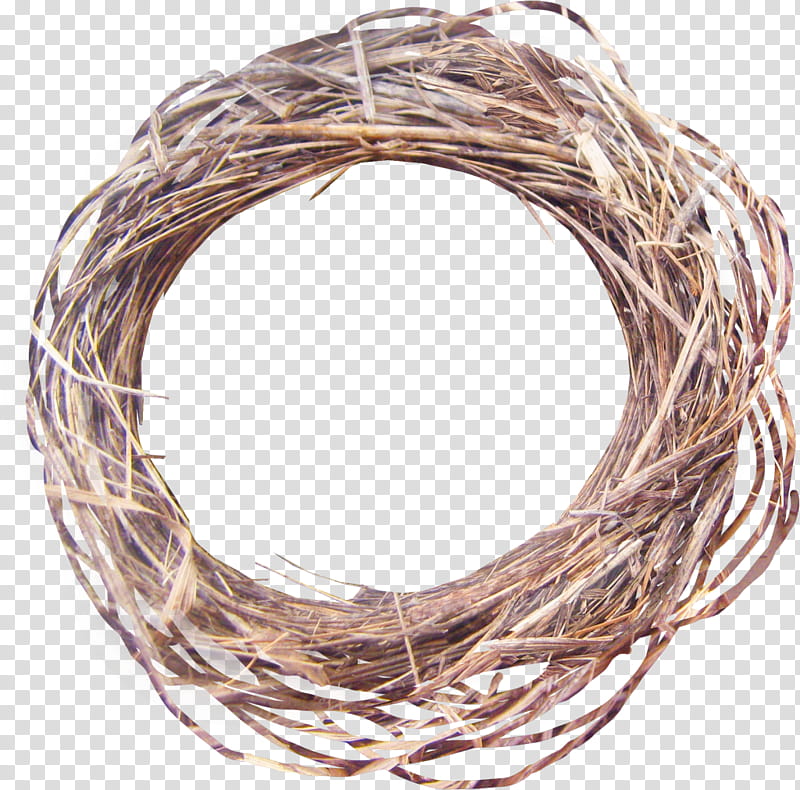 Christmas Decoration, Carrelage, Soap, Bird Nest, Solvent Degreasing, Easter
, Computer Monitors, Twig transparent background PNG clipart