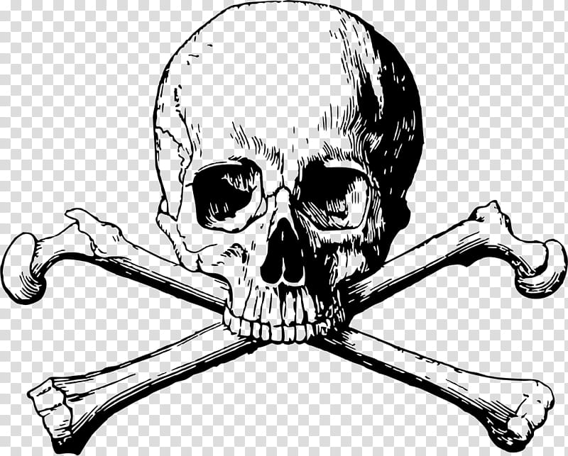 Human Skull Drawing, Skull And Crossbones, Skull And Bones Society, Calavera, Symbol, Line Art, Jaw, Hand transparent background PNG clipart