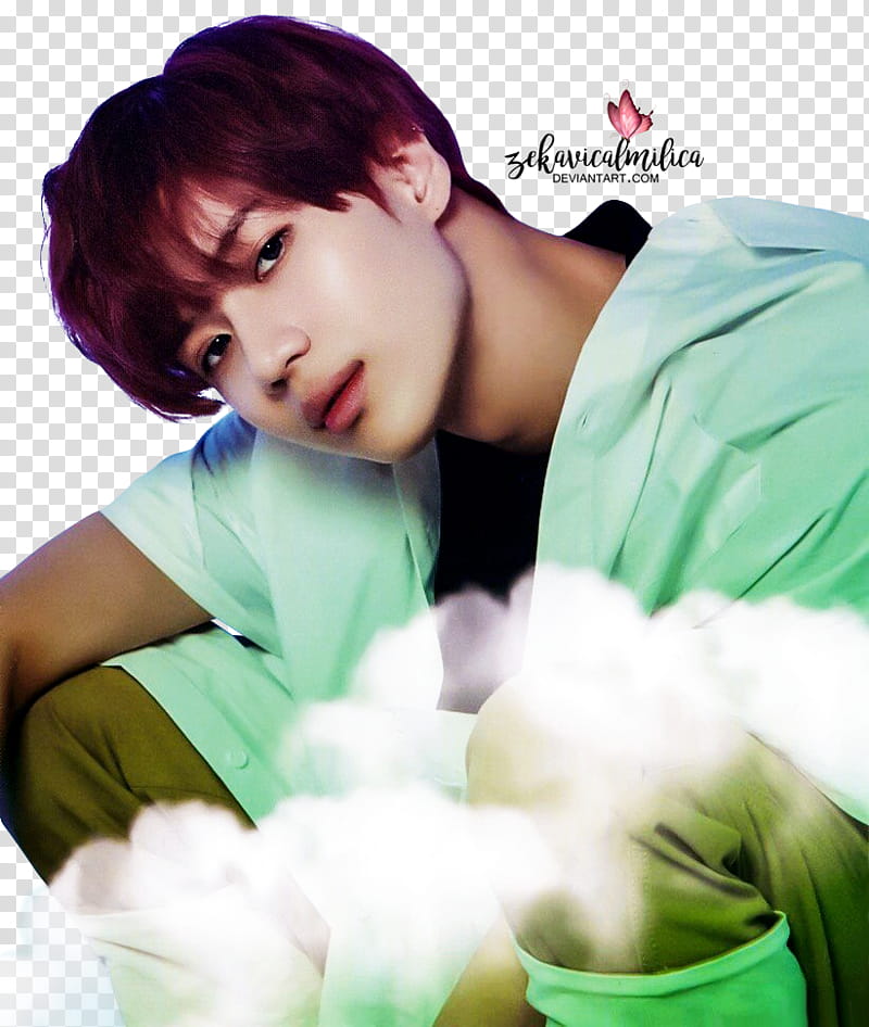 SHINee Taemin Sunny Side transparent background PNG clipart