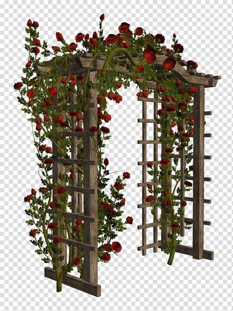 Rose Flower Drawing, Arch, Gate, Wood, Door, Fence, Garden, Flower Box transparent background PNG clipart