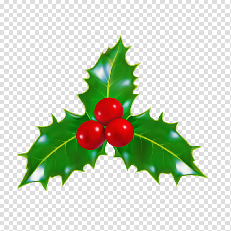 Christmas decoration, Holly, Leaf, American Holly, Plant, Flower, Hollyleaf Cherry, Currant transparent background PNG clipart