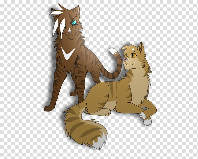 Lion Drawing, Cat, Tiger, Mothwing, Warriors, Hawkfrost, Poussy, Leafpool transparent background PNG clipart