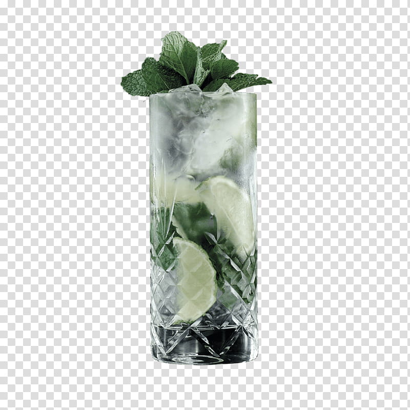 Gift, Highball Glass, Mojito, Vodka Tonic, Gin And Tonic, Mint Julep, Tonic Water, Frederik Bagger transparent background PNG clipart