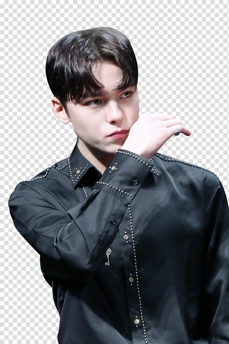 VERNON SEVENTEEN transparent background PNG clipart