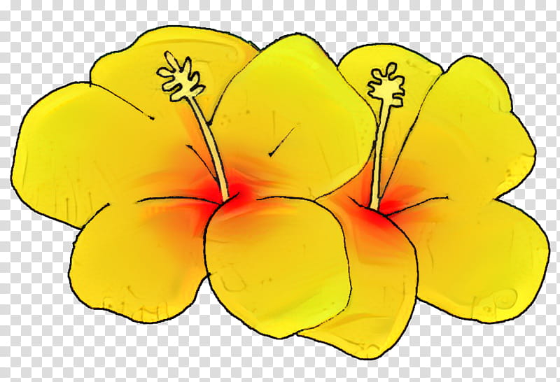 Flowers, Petal, Cut Flowers, Plant Stem, Herbaceous Plant, Plants, Yellow, Flowering Plant transparent background PNG clipart