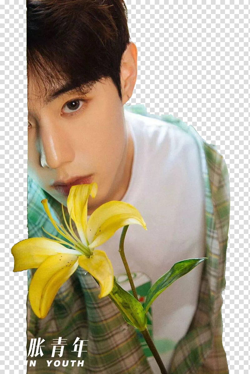 Mark Tuan GOT Shin Youth transparent background PNG clipart