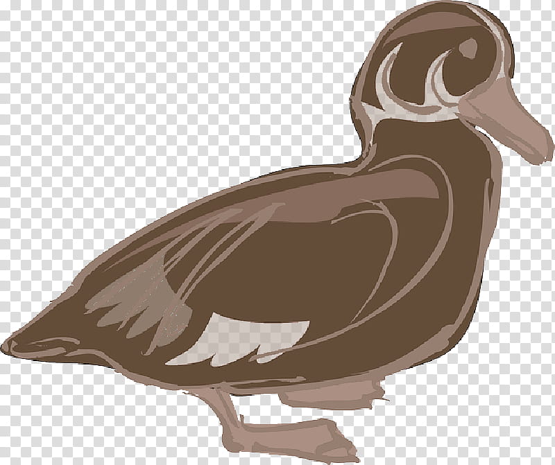 Duck, Domestic Duck, Chicken, Bird, Drawing, Poultry, Wood Duck, Animal transparent background PNG clipart