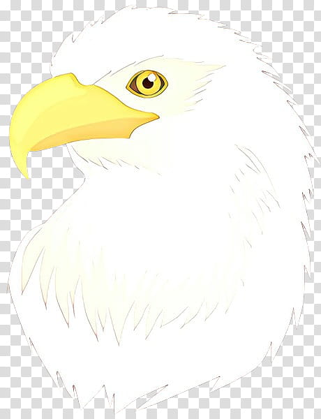 Feather, Cartoon, Bald Eagle, Vulture, Beak, Line Art, Bird, Bird Of Prey transparent background PNG clipart