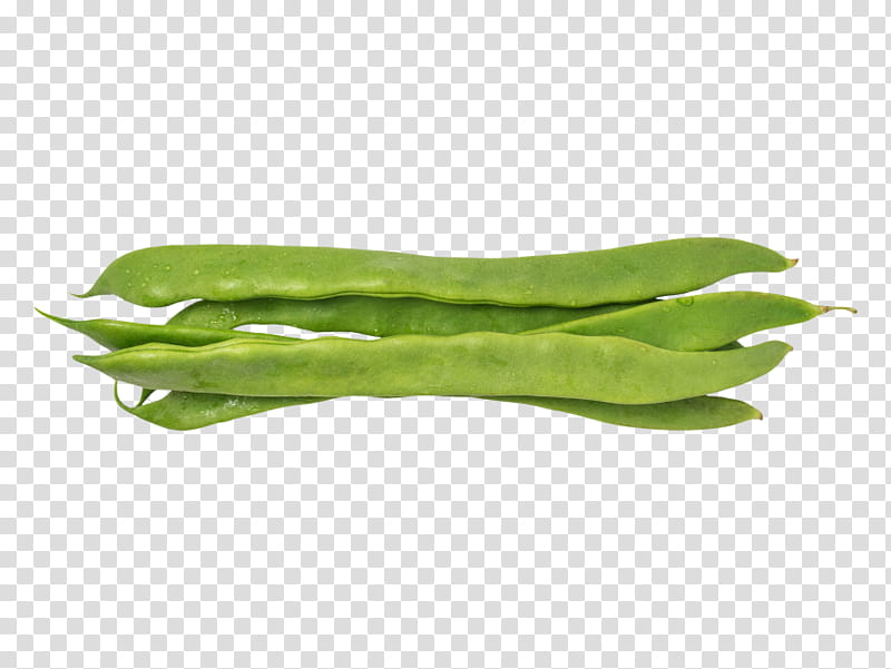 Vegetable, Green Bean, Food, Common Bean, Broad Bean, Adzuki Bean, Pea, Kidney Bean transparent background PNG clipart