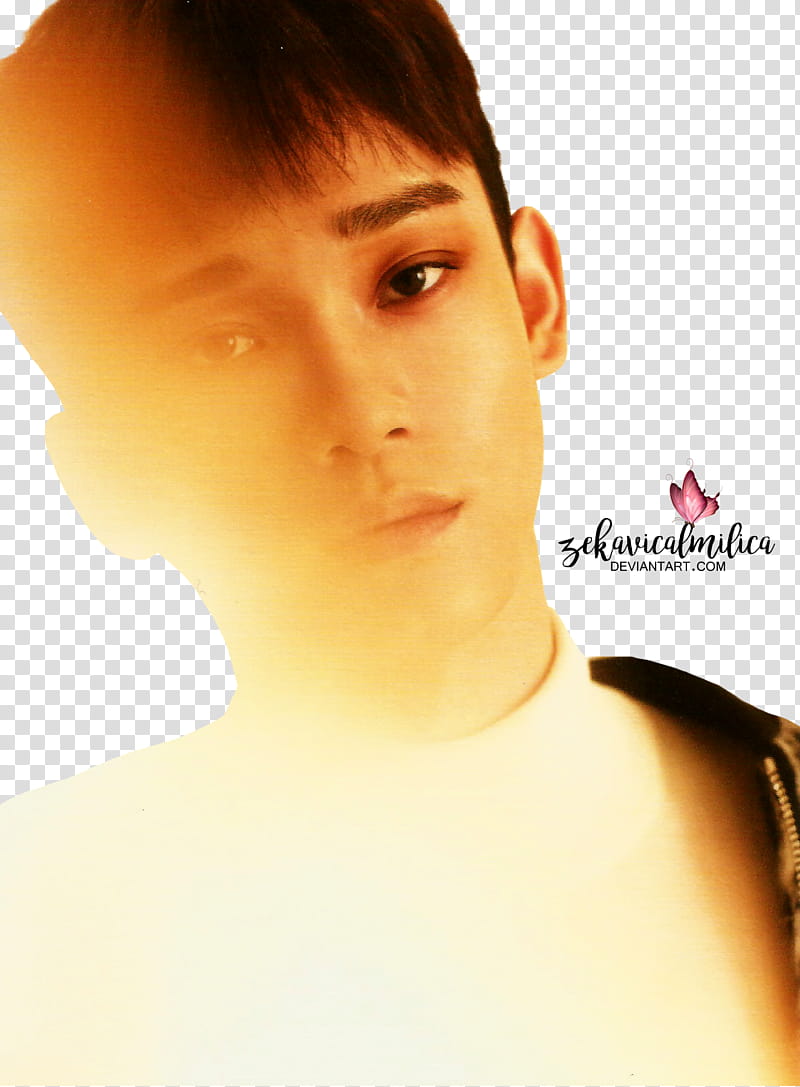EXO Chen For Life transparent background PNG clipart