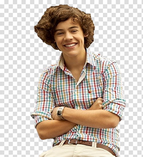 Harry Styles Y  Louis Tomlinson transparent background PNG clipart