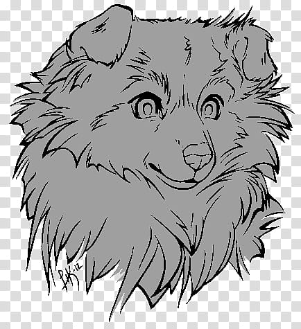 Floofy Free Dog Base age, gray animal head illustration transparent background PNG clipart