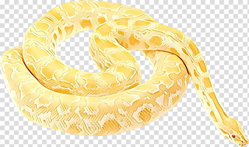 python python family burmese python yellow snake, Reptile, Scaled Reptile, Corn Snake, Boa, Serpent transparent background PNG clipart