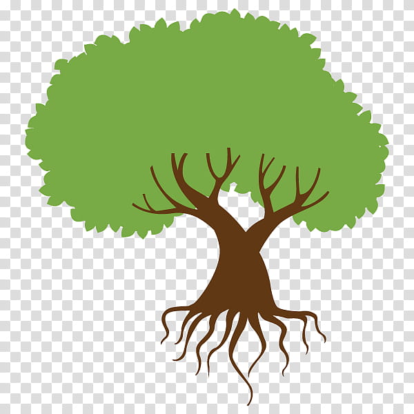 Tree Branch Silhouette, Root, Learning, Root Hair, Juku, Organization, Satoshi Tsumabuki, Woody Plant transparent background PNG clipart