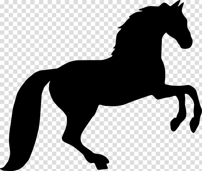 Hair, Silhouette, Friesian Horse, Rearing, Drawing, Horse Racing, Mane, Animal Figure transparent background PNG clipart