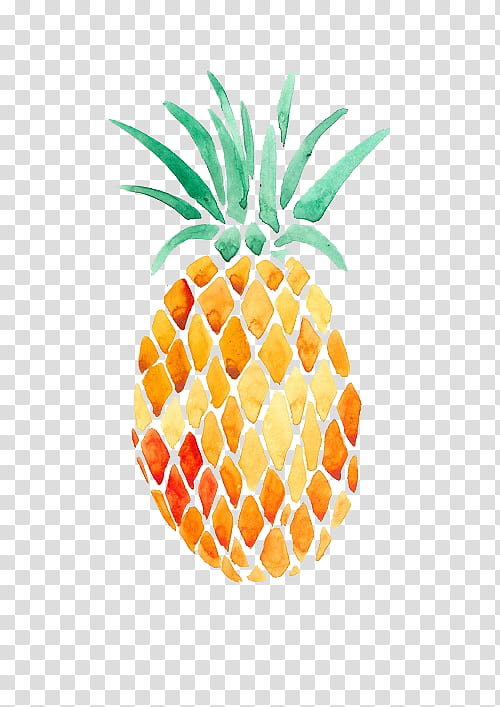 s, pineapple transparent background PNG clipart