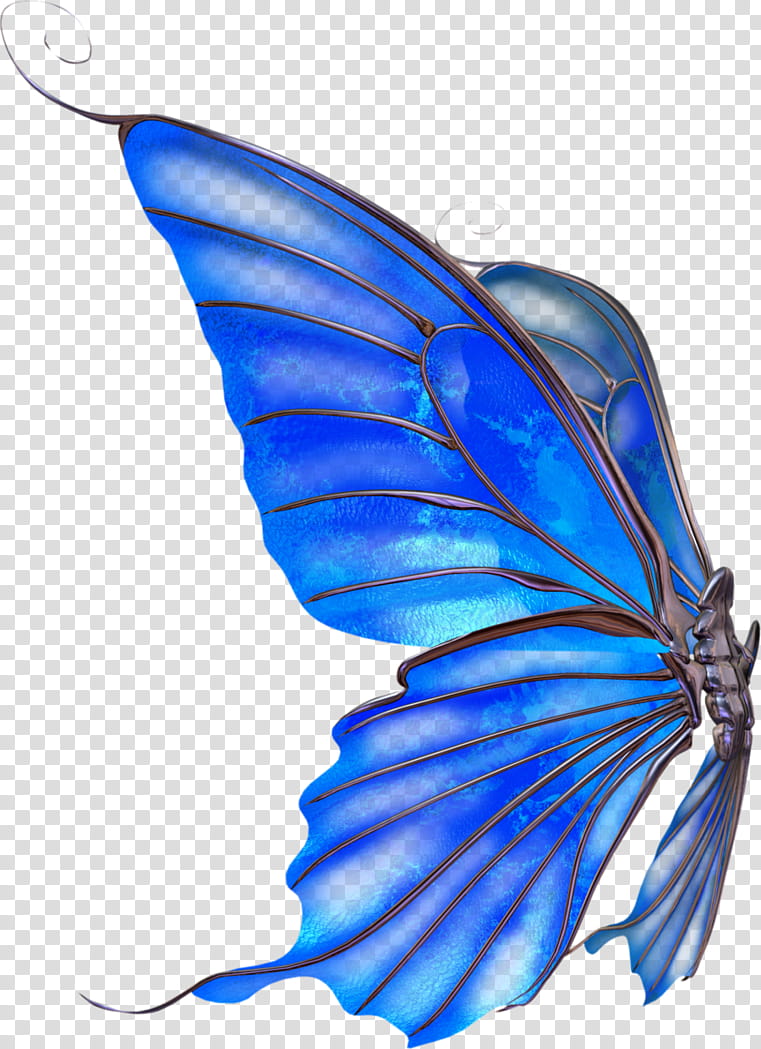 Recursos de ChiHoon y Shin Yeong, Ulysses butterfly art transparent background PNG clipart