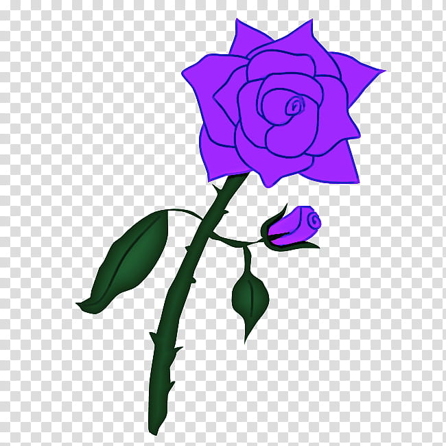 Garden roses, Flower, Violet, Purple, Blue Rose, Rose Family, Plant, Cut Flowers transparent background PNG clipart