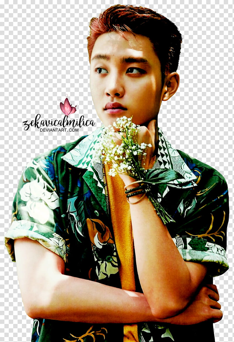 EXO D O The War transparent background PNG clipart