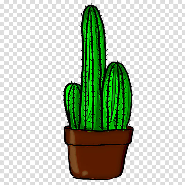 Cactus, Green, Saguaro, Plant, Flowerpot, Terrestrial Plant, Houseplant, Caryophyllales, Hedgehog Cactus transparent background PNG clipart